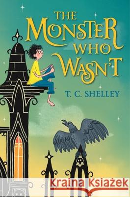 The Monster Who Wasn't T. C. Shelley 9781547604562 Bloomsbury Publishing PLC - książka