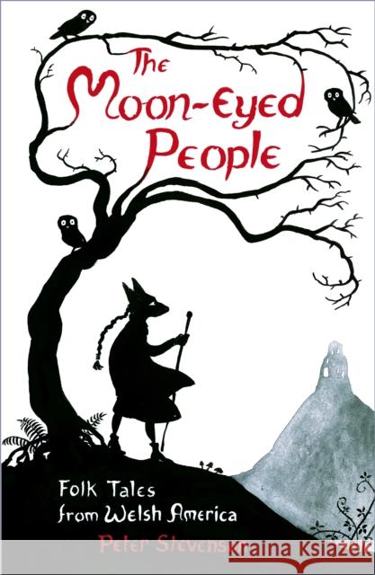 The Moon-Eyed People: Folk Tales from Welsh America Peter Stevenson 9780750991421 The History Press Ltd - książka