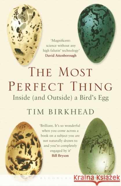 The Most Perfect Thing: Inside (and Outside) a Bird’s Egg Tim Birkhead 9781408851272 Bloomsbury Publishing PLC - książka