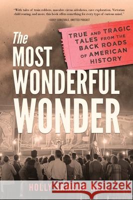 The Most Wonderful Wonder: True and Tragic Tales From the Back Roads of American History Holly Samson Hall 9781735018515 Messenger Moth Press - książka