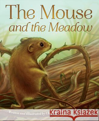The Mouse and the Meadow Chad Wallace Chad Wallace 9781584694816 Dawn Publications (CA) - książka