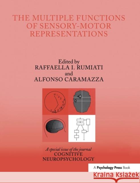 The Multiple Functions of Sensory-Motor Representations: A Special Issue of Cognitive Neuropsychology Raffaella I. Rumiati Alfonso Caramazza 9781138878013 Psychology Press - książka