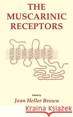 The Muscarinic Receptors Phyllis Ed. F. Ed. Phyllis Ed. F. Brown Joan Heller Brown 9780896031562 Humana Press - książka