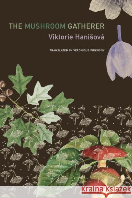 The Mushroom Gatherer Viktorie Hanisova 9781803095691 Seagull Books - książka
