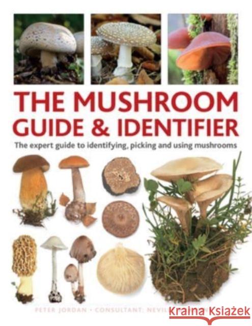 The Mushroom Guide & Identifer: An expert manual for identifying, picking and using edible wild mushrooms found in the British Isles Neville Kilkenny 9780754835332 Anness Publishing - książka