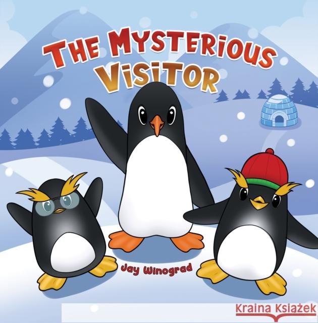 The Mysterious Visitor Jay Winograd 9789948721123 Austin MacAuley Publishers Fze - książka