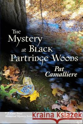 The Mystery at Black Partridge Woods Pat Camalliere 9781937484446 Amika Press - książka