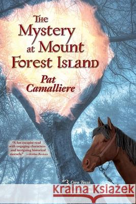 The Mystery at Mount Forest Island Pat Camalliere 9781937484729 Amika Press - książka
