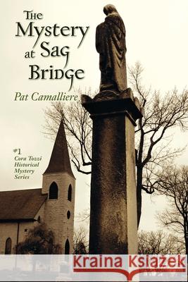The Mystery at Sag Bridge Pat Camalliere 9781937484309 Amika Press - książka