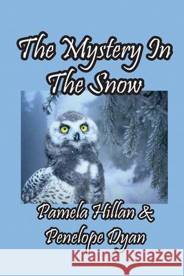 The Mystery In The Snow Pamela Hillan Dyan 9781614775539 Bellissima Publishing - książka