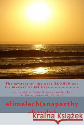 The mystery of 153 fish: 153 fish Elimelech 9781505853469 Createspace - książka