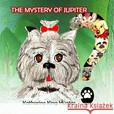 The Mystery of Jupiter Katharine King Hunter Iris M. Williams Courtney R. Deadner 9781942022763 Butterfly Typeface - książka