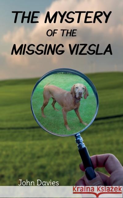 The Mystery of the Missing Vizsla John Davies 9781912655441 Rowanvale Books Ltd. - książka