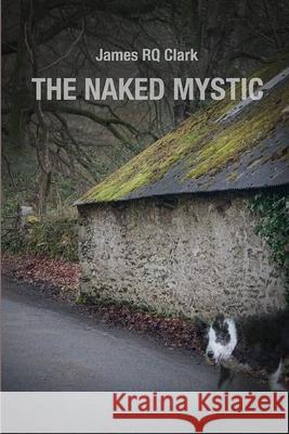 The Naked Mystic James Rq Clark 9781733601139 Metanoia Press - książka