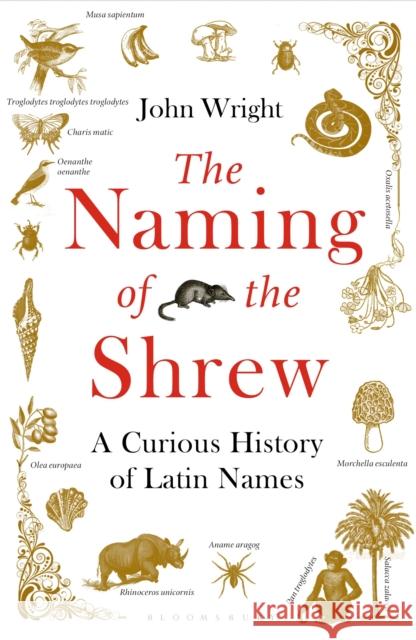 The Naming of the Shrew: A Curious History of Latin Names John Wright 9781408865552 Bloomsbury Publishing PLC - książka