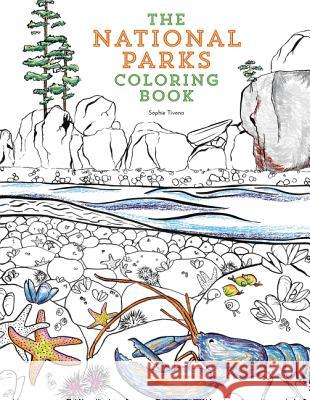 The National Parks Coloring Book Sophie Tivona 9780062560018 Harper Design - książka
