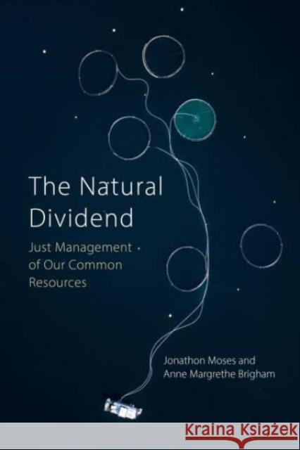The Natural Dividend Dr Anne Margrethe (Ruralis, Trondheim) Brigham 9781788214391 Agenda Publishing - książka