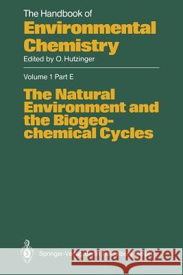 The Natural Environment and the Biogeochemical Cycles L. R. Johnson 9783662150719 Springer - książka