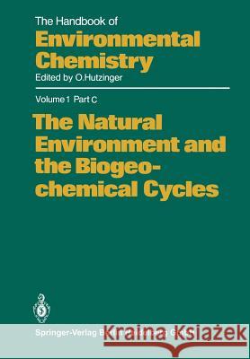 The Natural Environment and the Biogeochemical Cycles G. G. Choudhry 9783662152355 Springer - książka