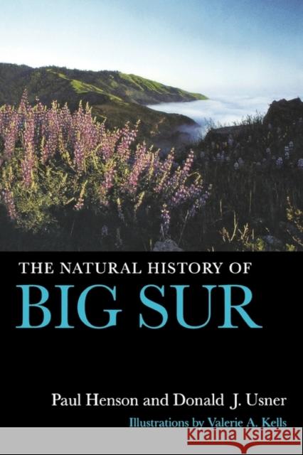 The Natural History of Big Sur: Volume 57 Henson, Paul 9780520205109 University of California Press - książka