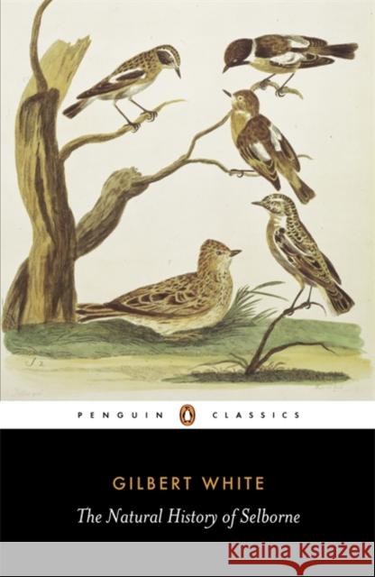 The Natural History of Selborne Gilbert White 9780140431124 Penguin Books Ltd - książka