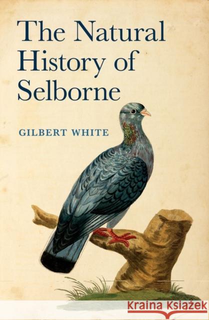 The Natural History of Selborne Gilbert White 9780199591961 Oxford University Press - książka