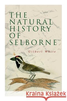 The Natural History of Selborne Gilbert White, Henry Morley 9788027340910 e-artnow - książka