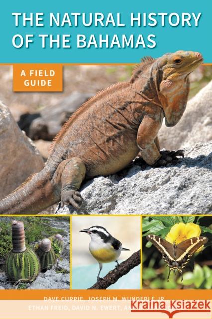 The Natural History of the Bahamas: A Field Guide - audiobook Currie, Dave 9781501713675 Comstock Publishing - książka