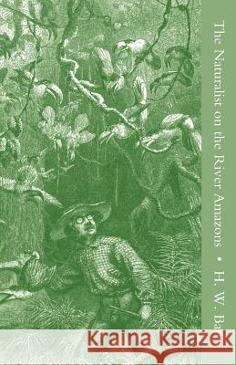 The Naturalist on the River Amazons Vol I Henry Walter Bates 9781905748563 Rediscovery Books Ltd - książka