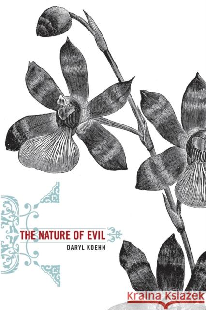 The Nature of Evil Daryl Koehn D. Koehn 9781349530977 Palgrave MacMillan - książka