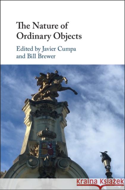 The Nature of Ordinary Objects Javier Cumpa Bill Brewer 9781107160095 Cambridge University Press - książka