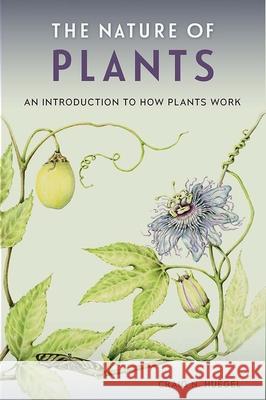 The Nature of Plants: An Introduction to How Plants Work Craig N. Huegel 9780813064086 University Press of Florida - książka