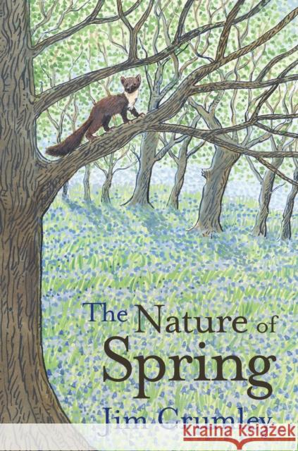 The Nature of Spring Jim Crumley   9781912235377 Saraband - książka