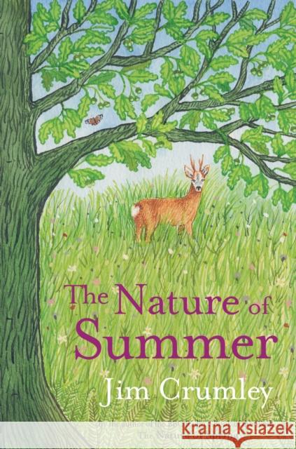 The Nature of Summer Jim Crumley 9781913393113 Saraband - książka