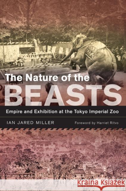 The Nature of the Beasts: Empire and Exhibition at the Tokyo Imperial Zoovolume 27 Miller, Ian Jared 9780520271869 UNIVERSITY OF CALIFORNIA PRESS - książka