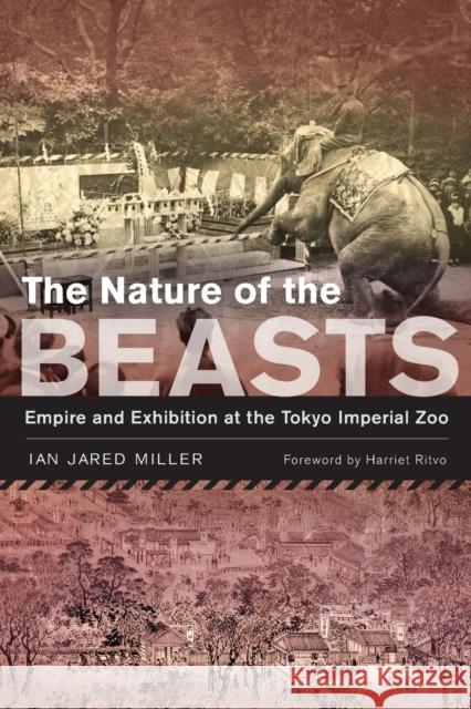 The Nature of the Beasts: Empire and Exhibition at the Tokyo Imperial Zoovolume 27 Miller, Ian Jared 9780520377523 University of California Press - książka