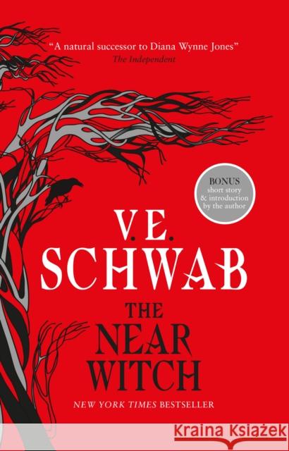 The Near Witch Schwab, V. E. 9781789091144 Titan Books Ltd - książka