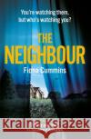 The Neighbour Fiona Cummins 9781509876914 Pan Macmillan