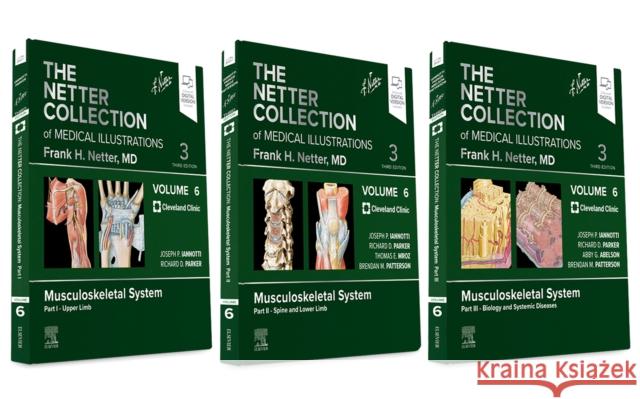 The Netter Collection of Medical Illustrations: Musculoskeletal System Package: Volume 6  9780323881876 Elsevier - Health Sciences Division - książka