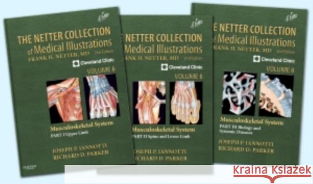 The Netter Collection of Medical Illustrations: Musculoskeletal System Package: Volume 6 Iannotti, Joseph 9781416063780 W.B. Saunders Company - książka