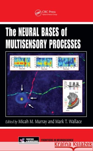 The Neural Bases of Multisensory Processes Micah M. Murray Mark Thomas Wallace 9781439812174 CRC Press - książka