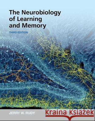 The Neurobiology of Learning and Memory Jerry W. Rudy 9781605359342 Sinauer Associates Is an Imprint of Oxford Un - książka