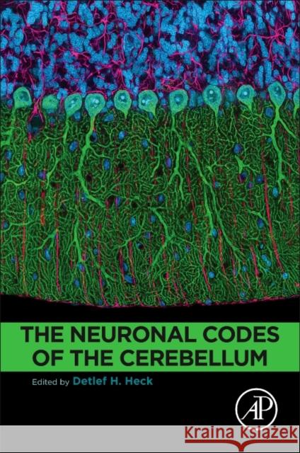 The Neuronal Codes of the Cerebellum Detlef Heck 9780128013861 Academic Press - książka