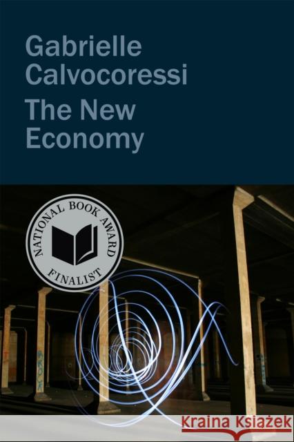 The New Economy Gabrielle Calvocoressi 9781556597213 Copper Canyon Press - książka