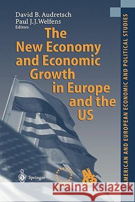 The New Economy and Economic Growth in Europe and the Us Audretsch, David B. 9783642077364 Not Avail - książka