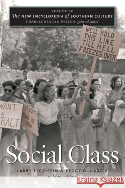 The New Encyclopedia of Southern Culture: Volume 20: Social Class Griffin, Larry J. 9780807872321 University of North Carolina Press - książka
