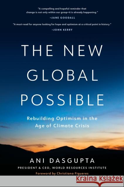 The New Global Possible: Seven Reasons to Feel Optimistic about the Planet Ani Dasgupta James A. Harmon 9781633310667 Disruption Books - książka