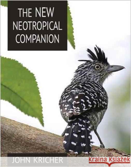 The New Neotropical Companion Kricher, J 9780691115252 John Wiley & Sons - książka
