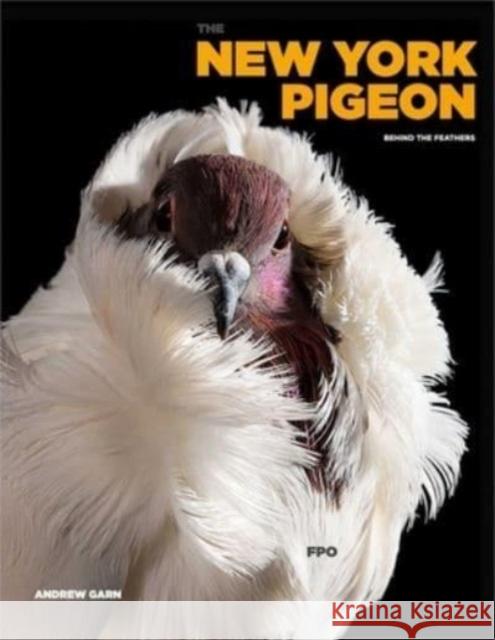 The New York Pigeon Andrew Garn 9781648230745 powerHouse Books,U.S. - książka