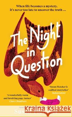 The Night in Question Susan Fletcher 9781787637412 Transworld Publishers Ltd - książka